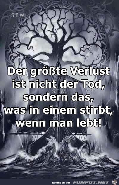 Der groesste Verlust