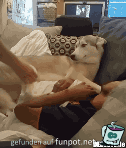 Wie lieb Wie lieb