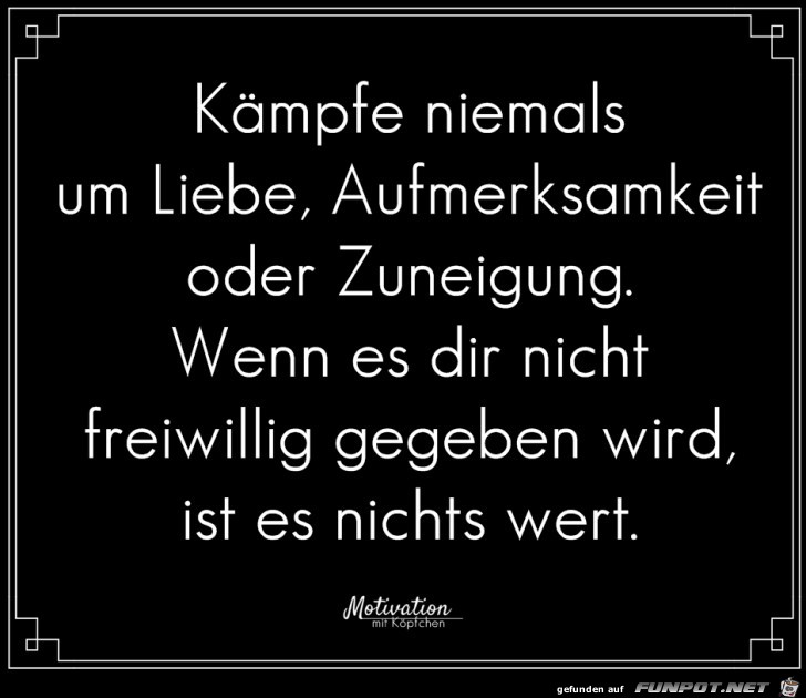 Kaempfe niemals Kaempfe niemals
