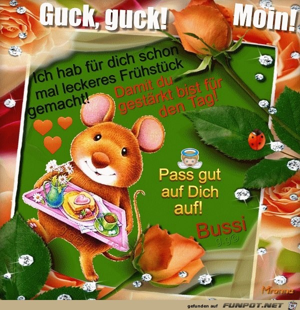 Guck guck Guck guck