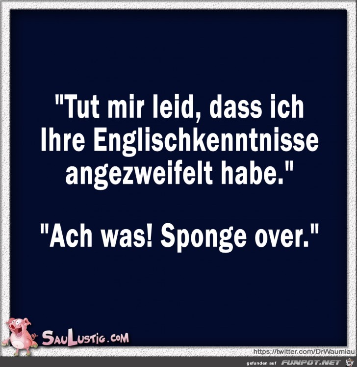 Englischkenntnisse