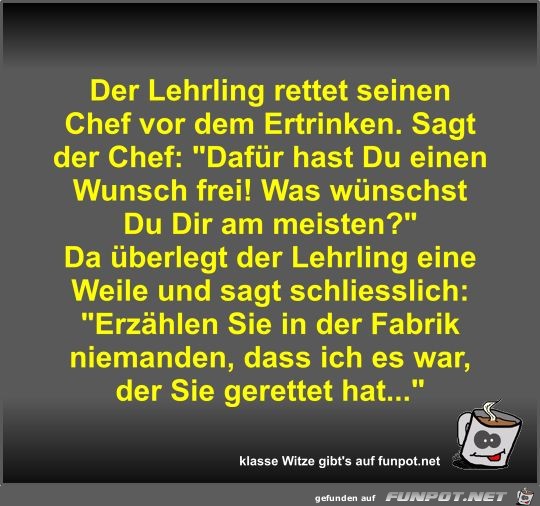 Der Lehrling rettet seinen Chef vor dem Ertrinken Der Lehrling rettet seinen Chef vor dem Ertrinken