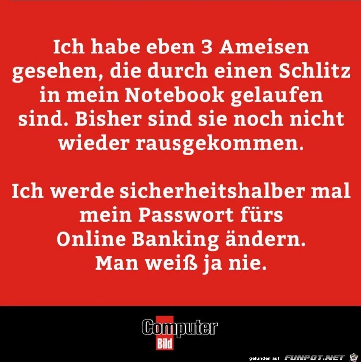 3 Ameisen 3 Ameisen