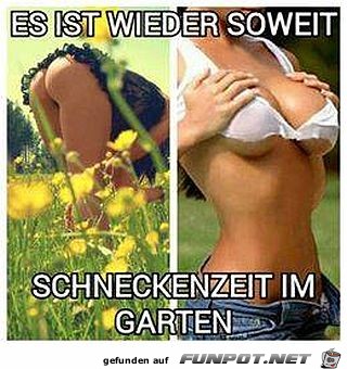 Schneckenzeit im Garten beginnt Schneckenzeit im Garten beginnt