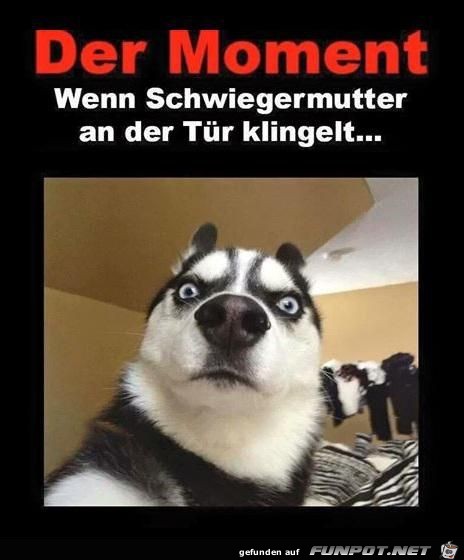 der Moment......