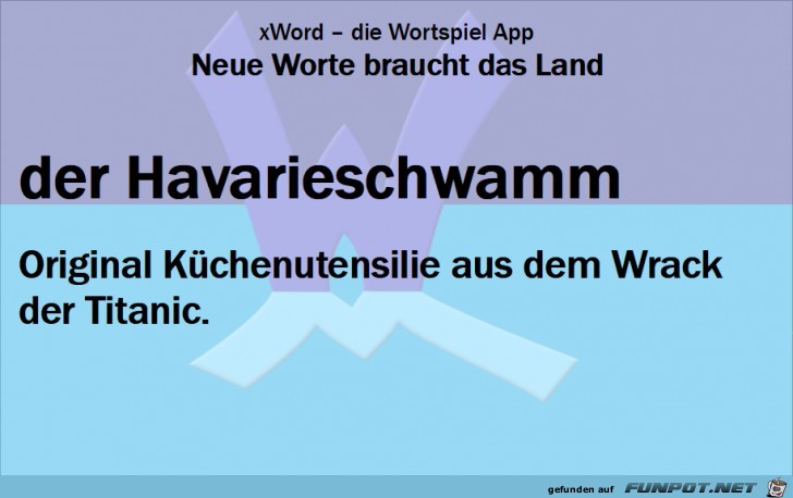 Neue-Worte-Havarieschwamm Neue-Worte-Havarieschwamm