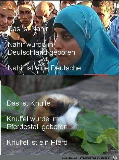 Knuffel Knuffel