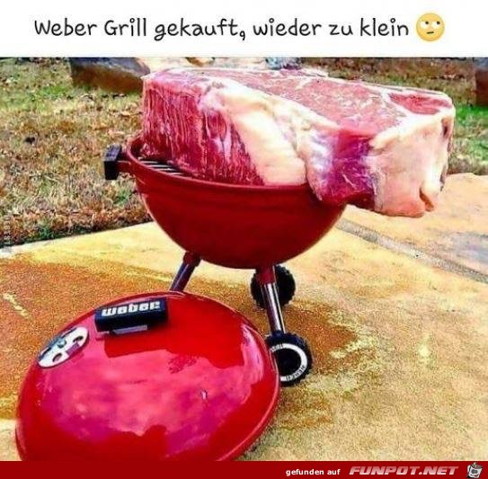 Weber Grill