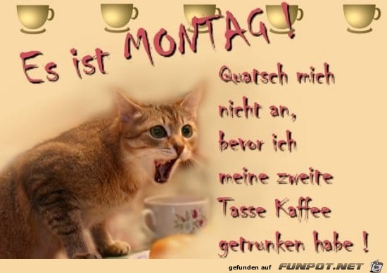 Montag