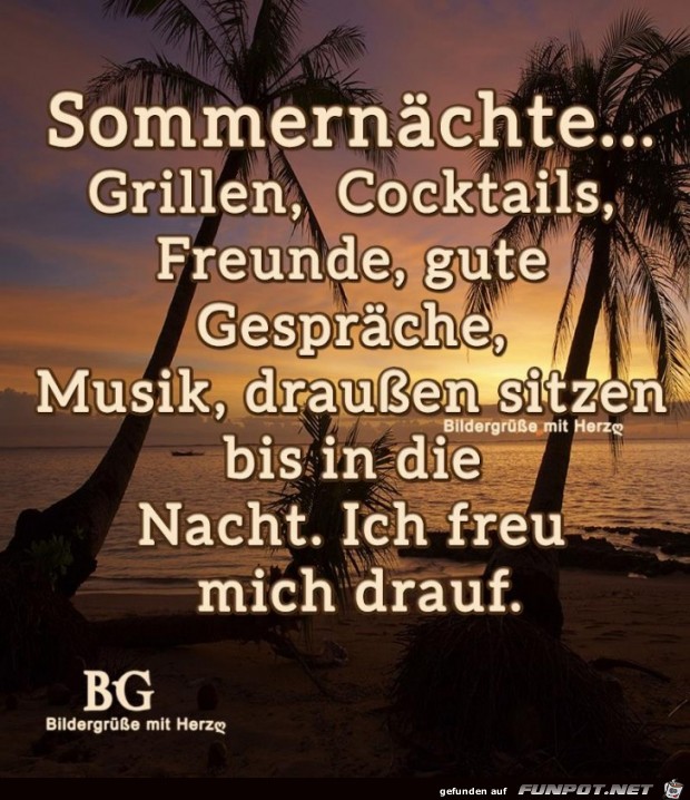 Sommernaechte Sommernaechte