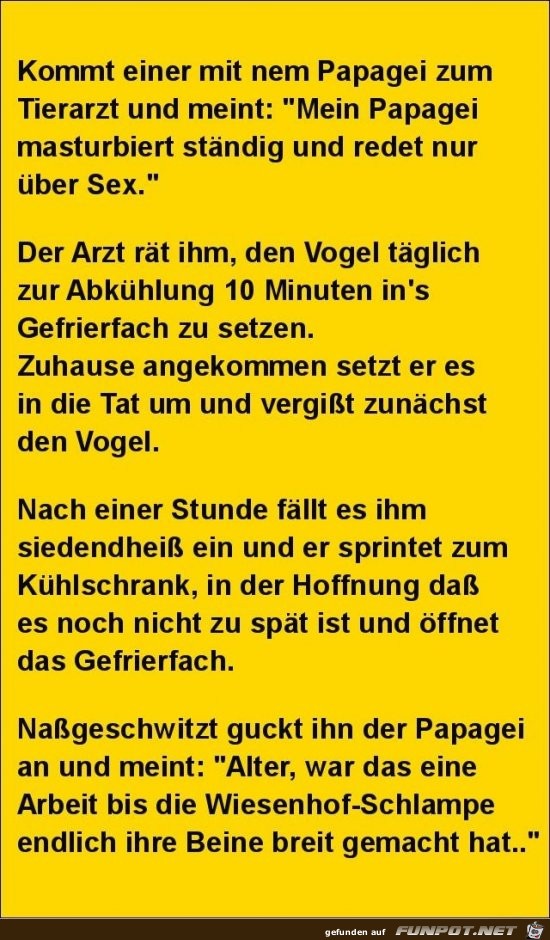 kommt einer mit nem Papagei zum Tierarzt..... kommt einer mit nem Papagei zum Tierarzt.....