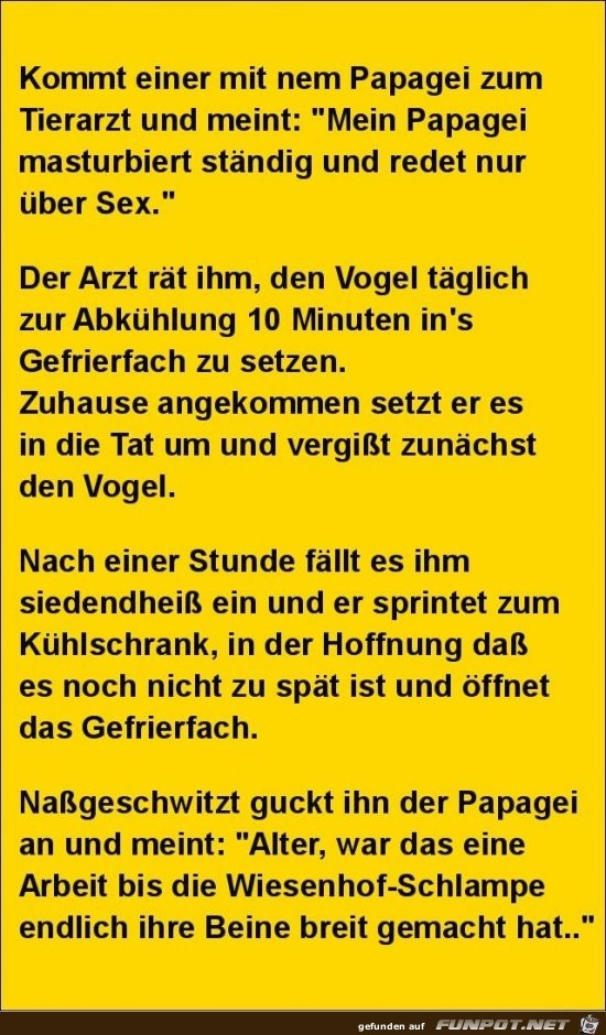 kommt einer mit nem Papagei zum Tierarzt.....