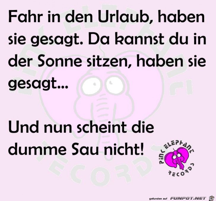 dumme Sau dumme Sau