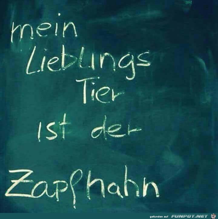 Lieblingstier Lieblingstier