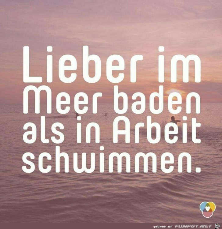 im Meer im Meer