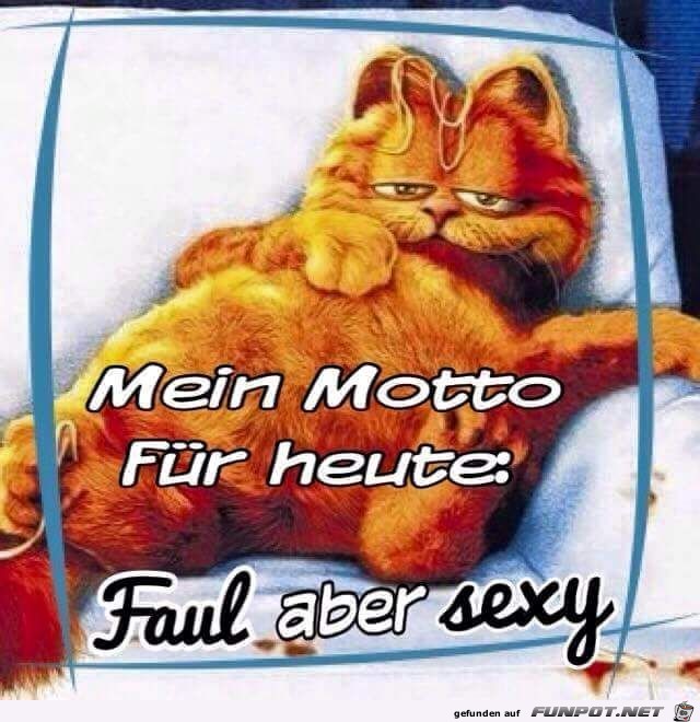 Mein Motto fr heute