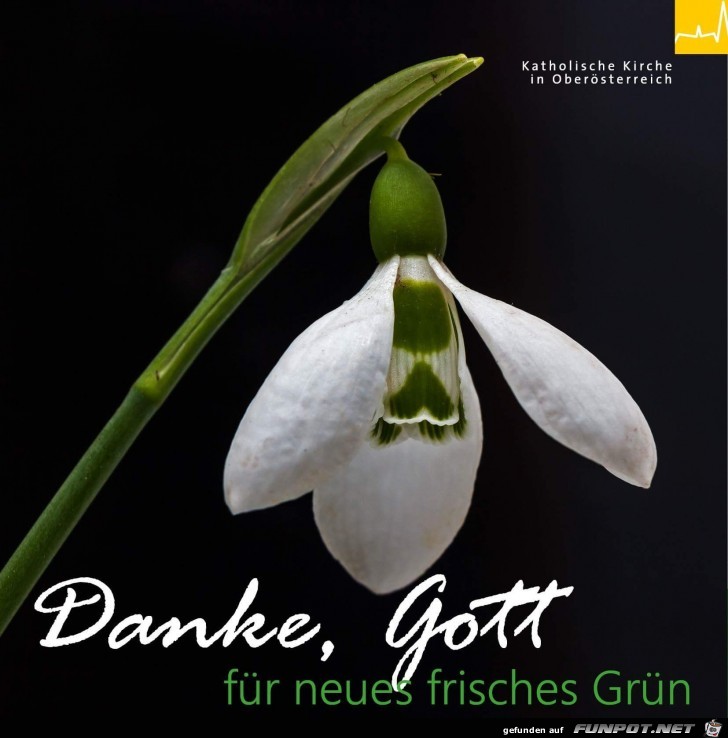 danke gott 2 danke gott 2