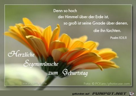 herzliche Segenswuensche herzliche Segenswuensche