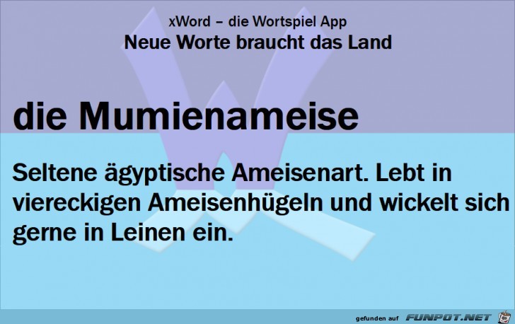 Neue-Worte-Mumienameise Neue-Worte-Mumienameise