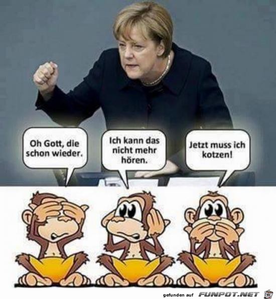 die schon wieder,.... die schon wieder,....