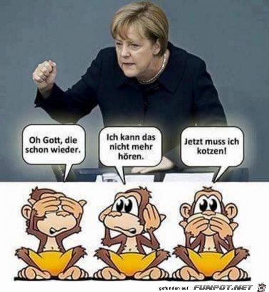 die schon wieder,....