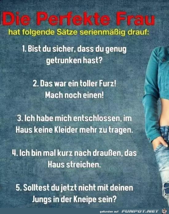 die perfekte Frau......