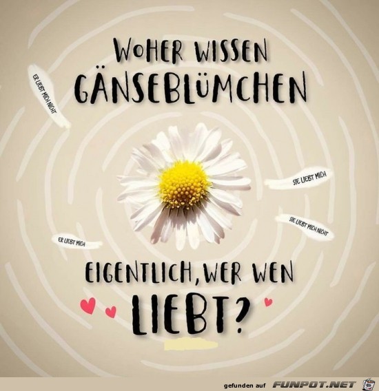 Gute Frage Gute Frage