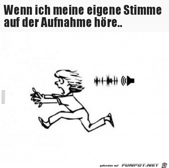 Die eigene Stimme