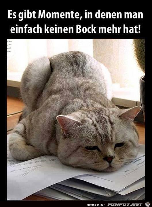 Kein Bock