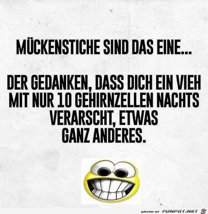 Mückenstiche Mückenstiche