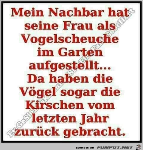 Die Frau als Vogelscheuche