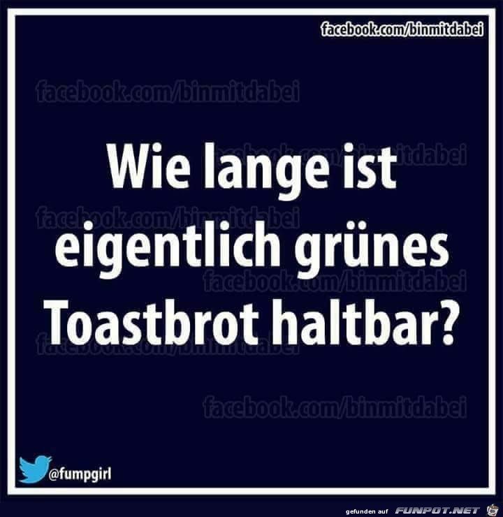 Toastbrot Toastbrot