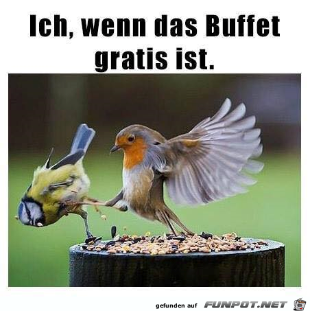 Am Gratis-Buffet Am Gratis-Buffet