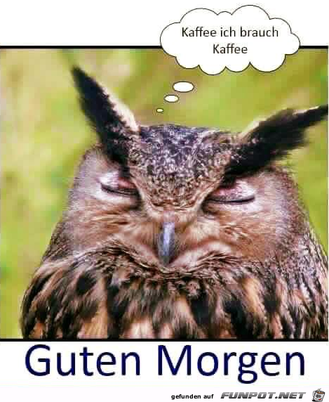 Guten Morgen