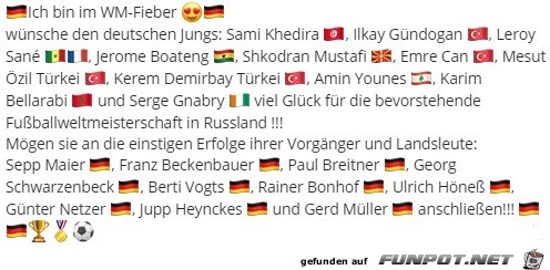 WM-Fieber WM-Fieber