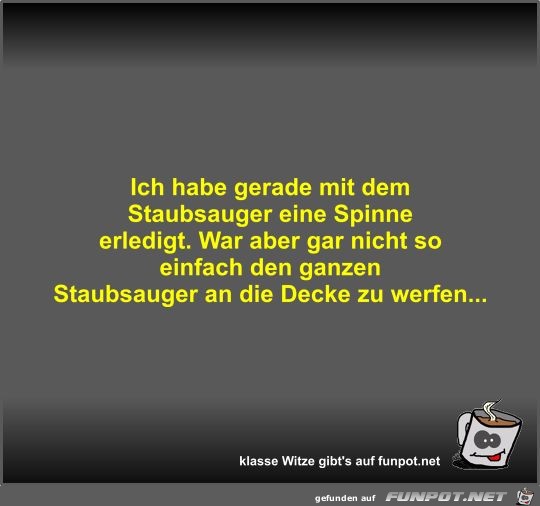 Ich habe gerade mit dem Staubsauger eine Spinne erledigt Ich habe gerade mit dem Staubsauger eine Spinne erledigt