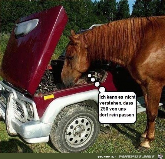 Pferdestärken Pferdestärken