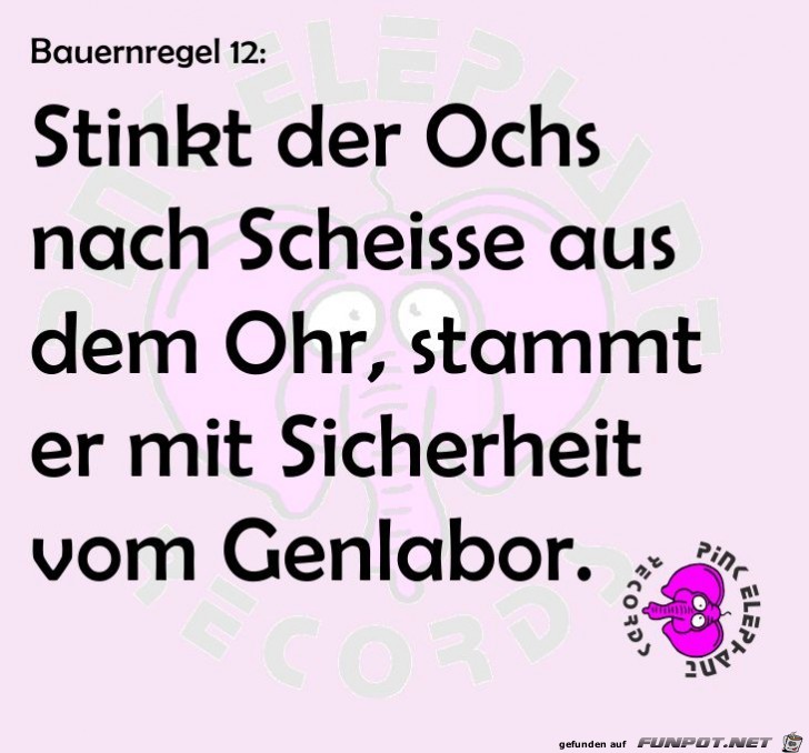 Ochse Ochse