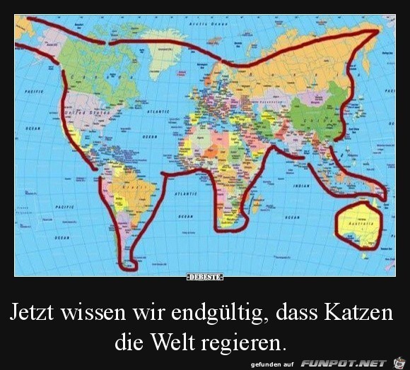 Katzen regieren die Welt....