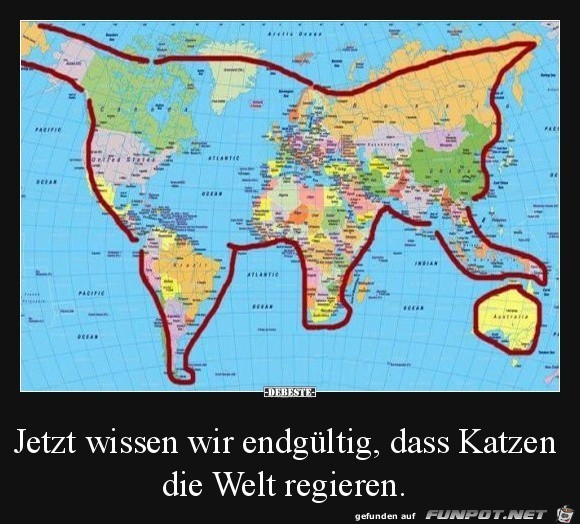 Katzen regieren die Welt.... Katzen regieren die Welt....