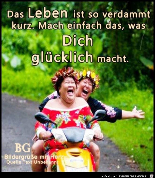 Das Leben ist so verdammt kurz Das Leben ist so verdammt kurz