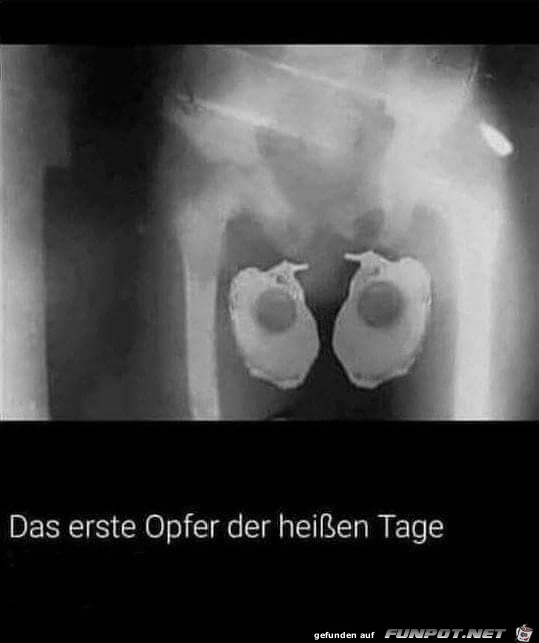 Opfer Opfer