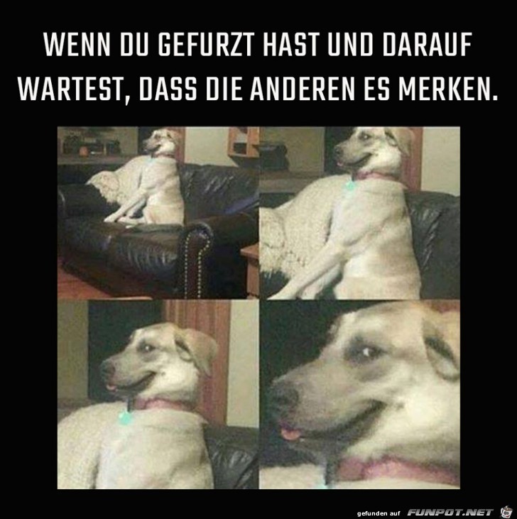 warten warten