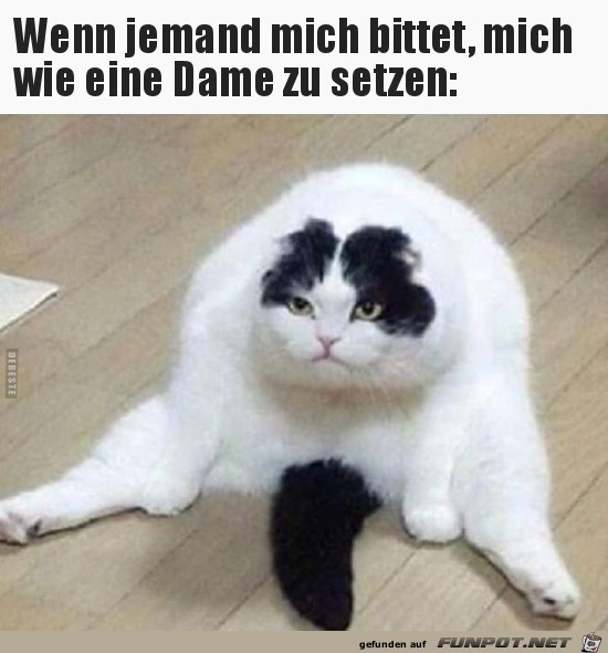 Super Sitz Super Sitz