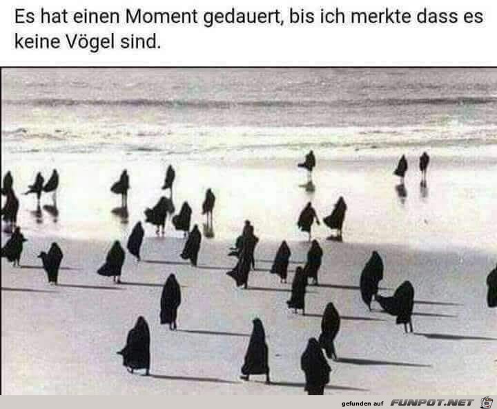 Es hat einen Moment gedauert...