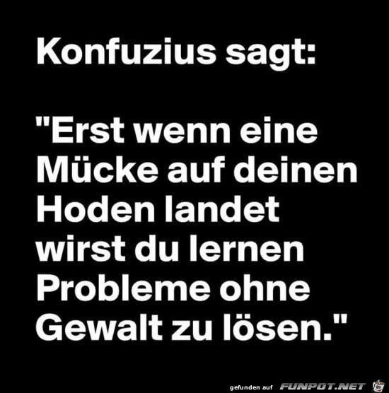 Konfuzius sagt:.... Konfuzius sagt:....