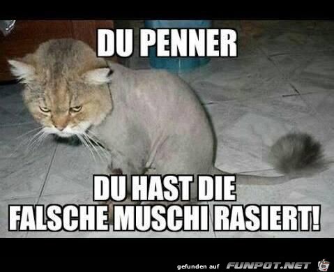 du Penner......