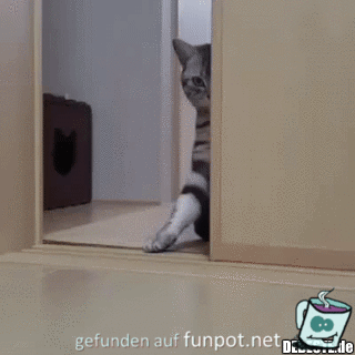 Ich versteck mich Ich versteck mich