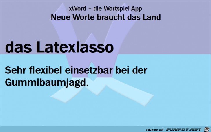 Neue-Worte-Latexlasso