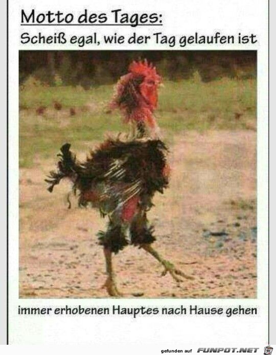 Motto des Tages.... Motto des Tages....